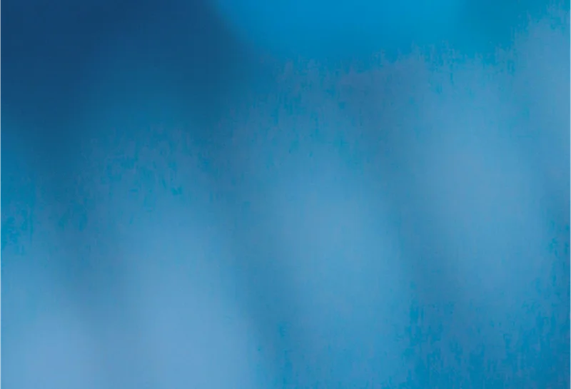 Prompt Injection via Emojis